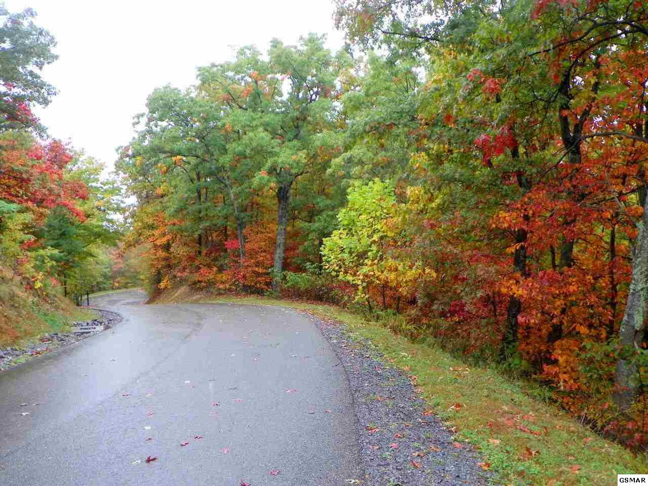 Lot 19 Laurel Top Way Gatlinburg TN 37738