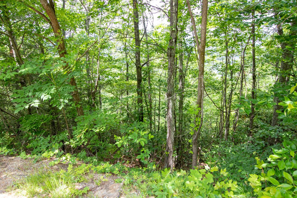 Lot 19 Laurel Top Way Gatlinburg TN 37738