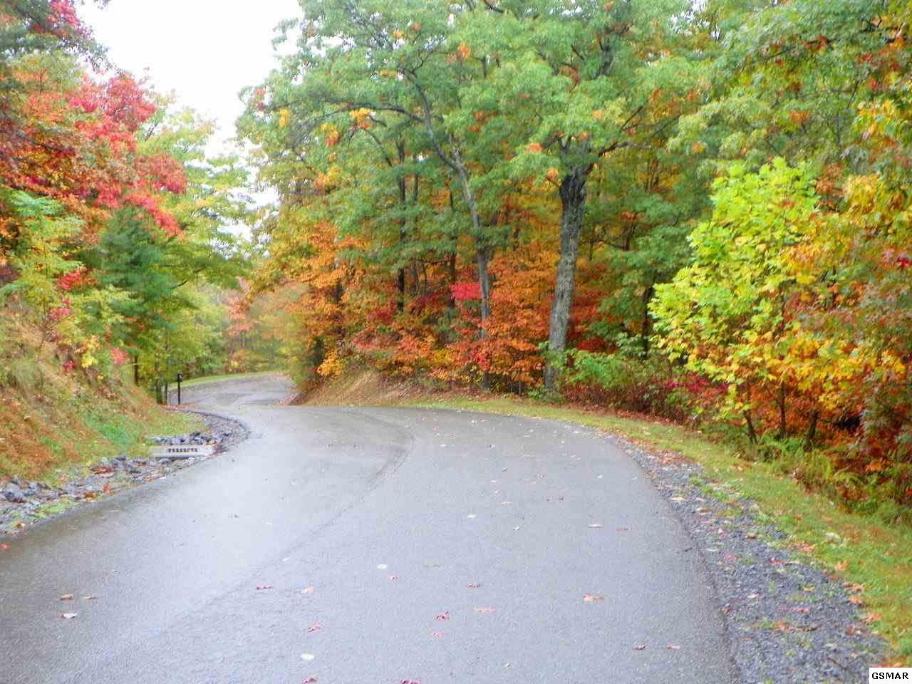 Lot 19 Laurel Top Way Gatlinburg TN 37738
