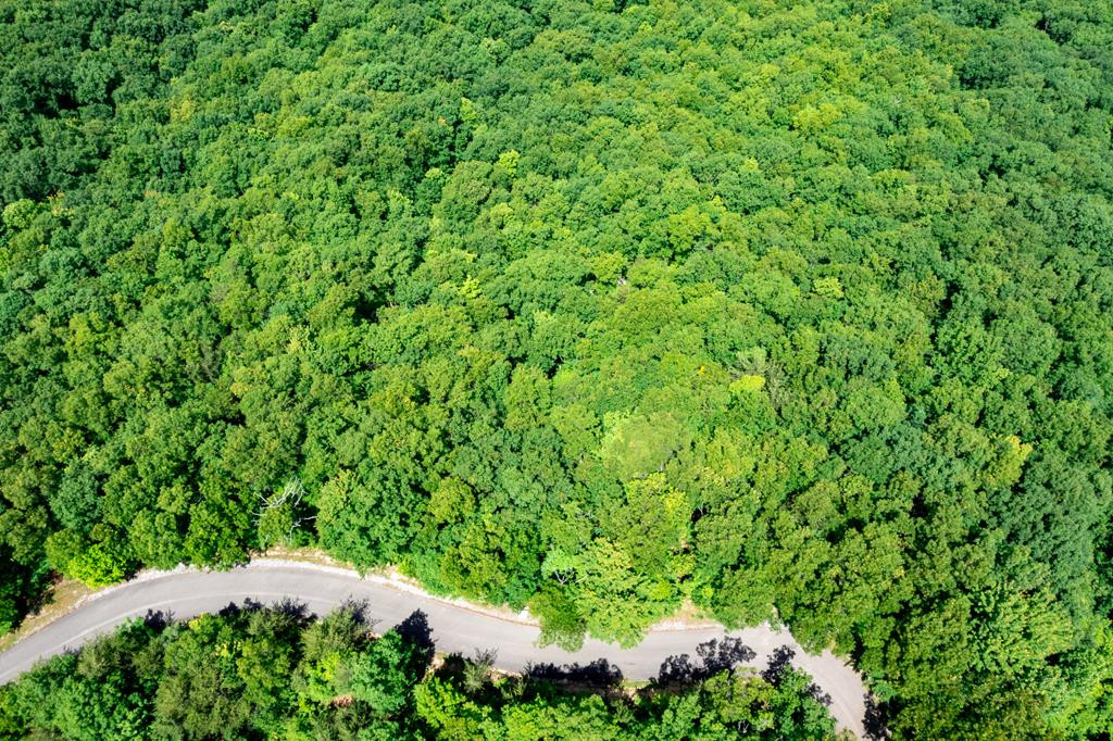 Lot 19 Laurel Top Way Gatlinburg TN 37738