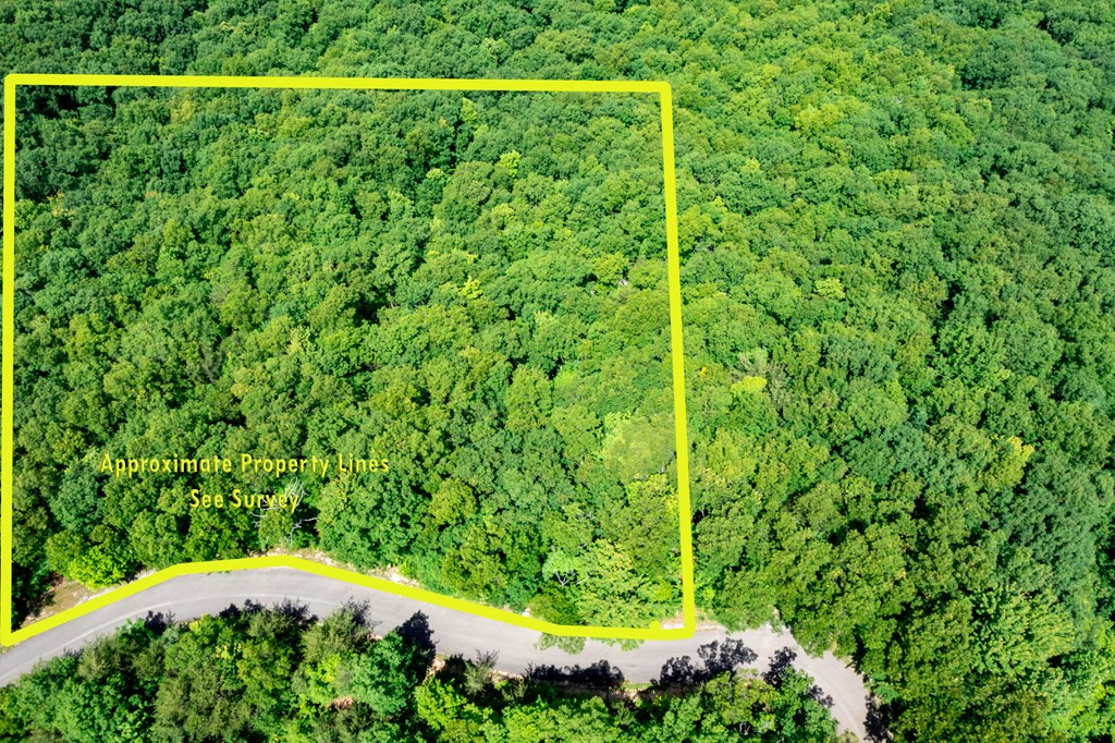 Lot 19 Laurel Top Way Gatlinburg TN 37738