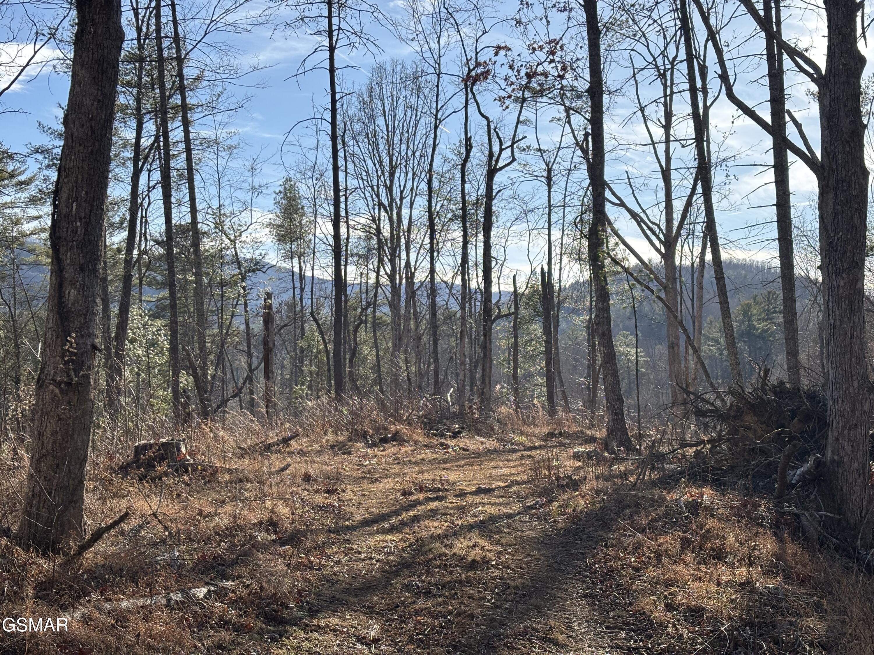 Tract 1 Bull Mountain Road Del Rio TN 37727