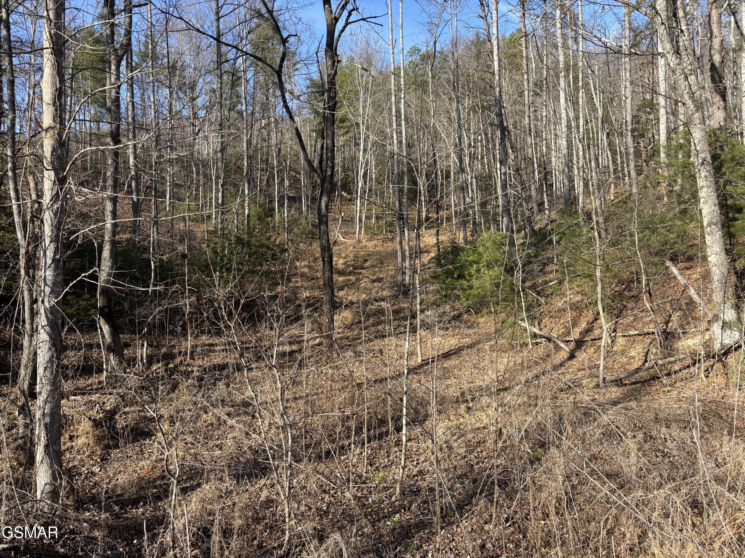 Tract 1 Bull Mountain Road Del Rio TN 37727