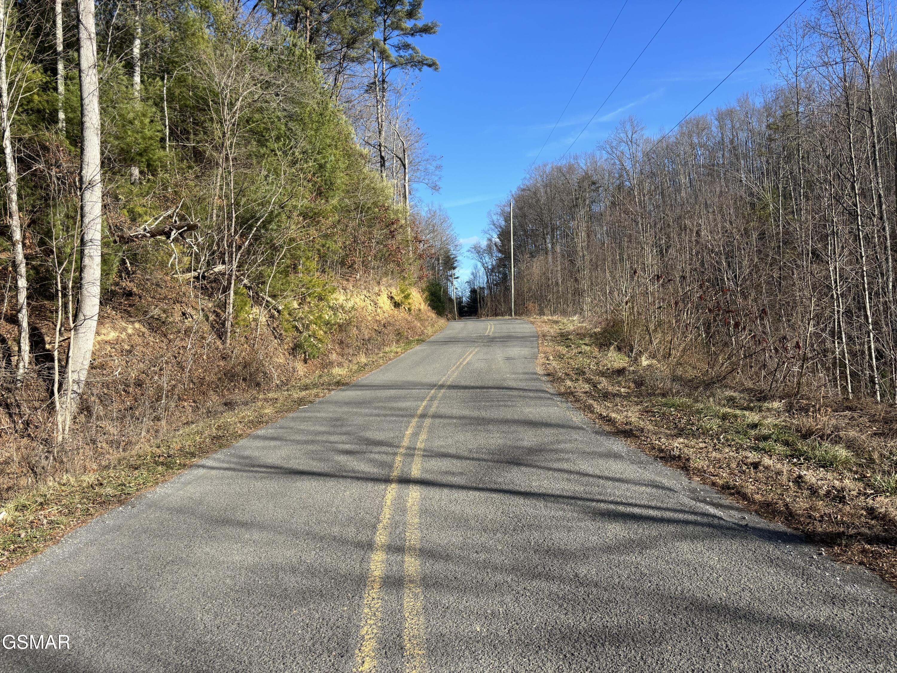 Tract 1 Bull Mountain Road Del Rio TN 37727