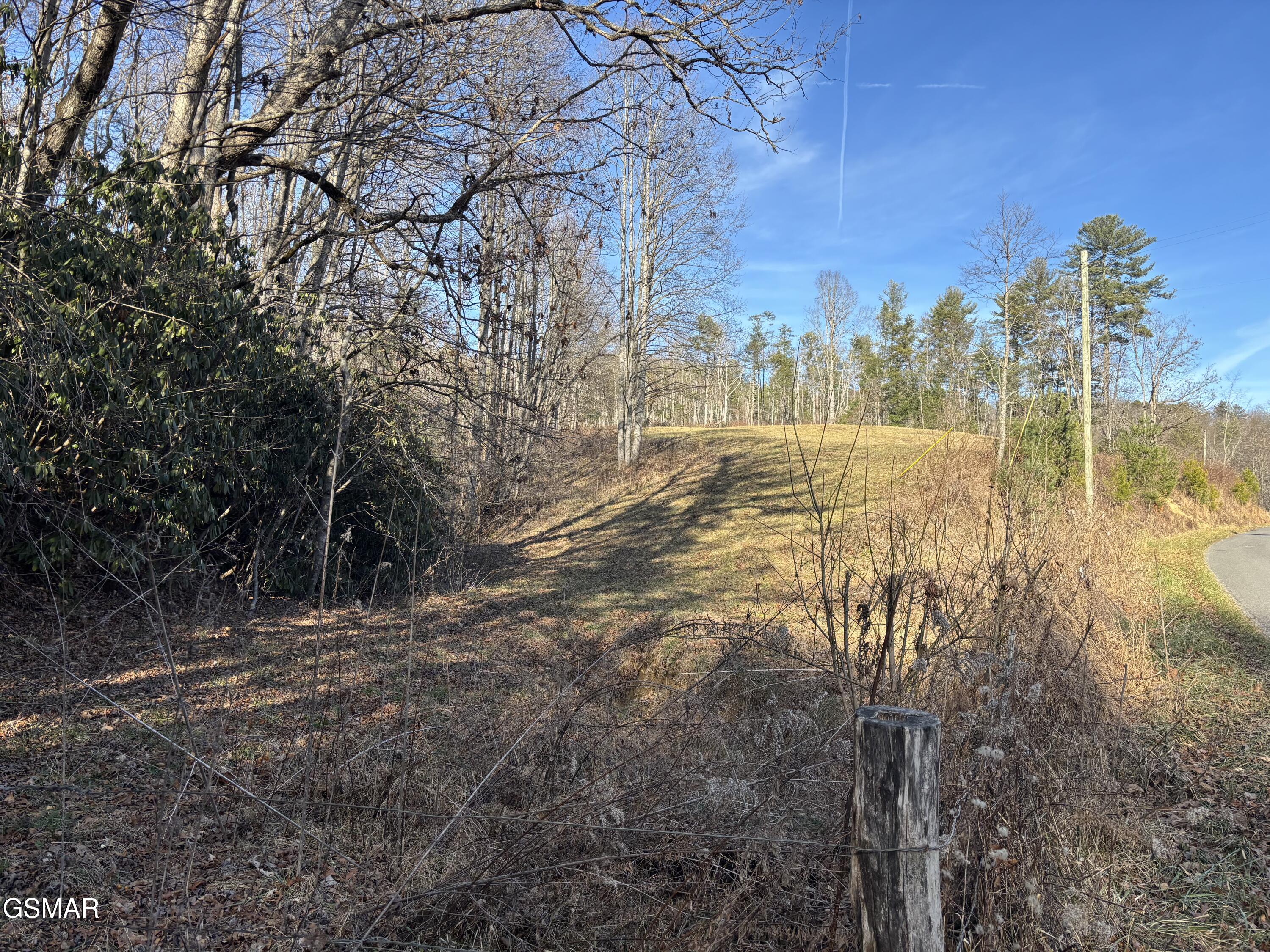Tract 1 Bull Mountain Road Del Rio TN 37727