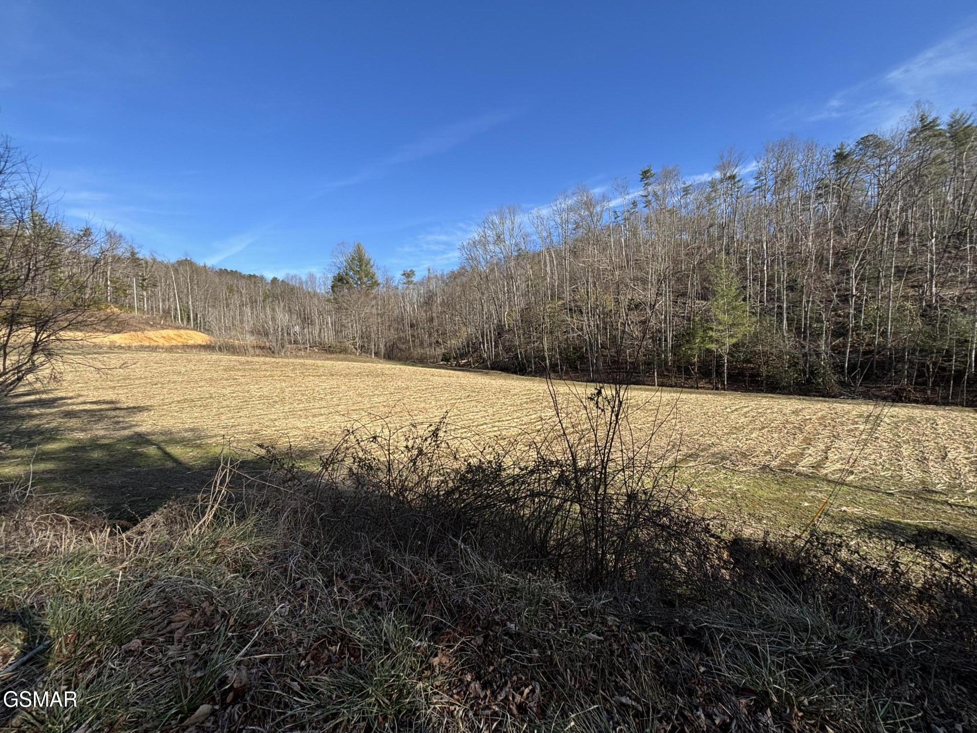 Tract 1 Bull Mountain Road Del Rio TN 37727