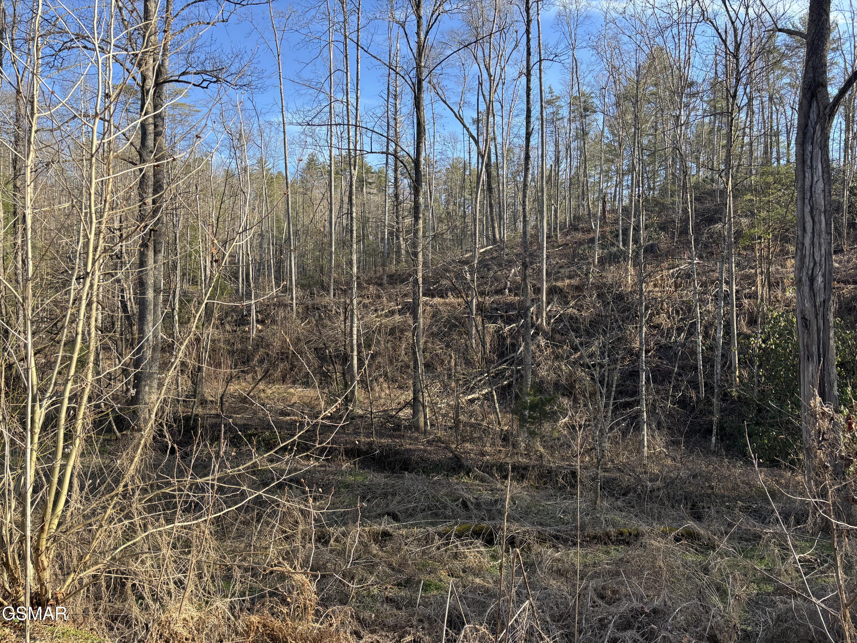 Tract 1 Bull Mountain Road Del Rio TN 37727