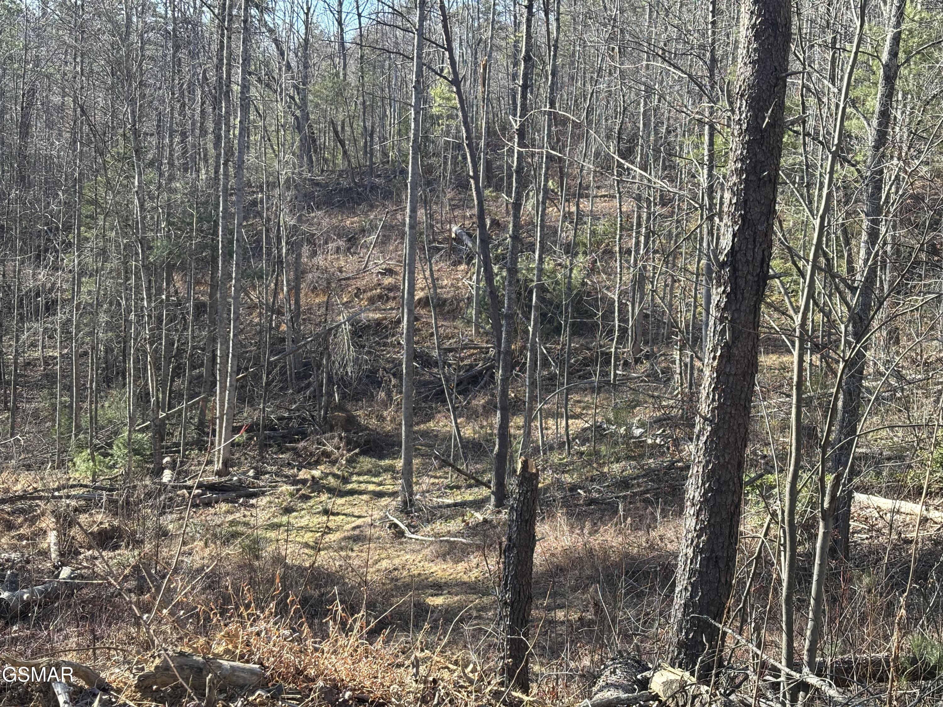 Tract 1 Bull Mountain Road Del Rio TN 37727