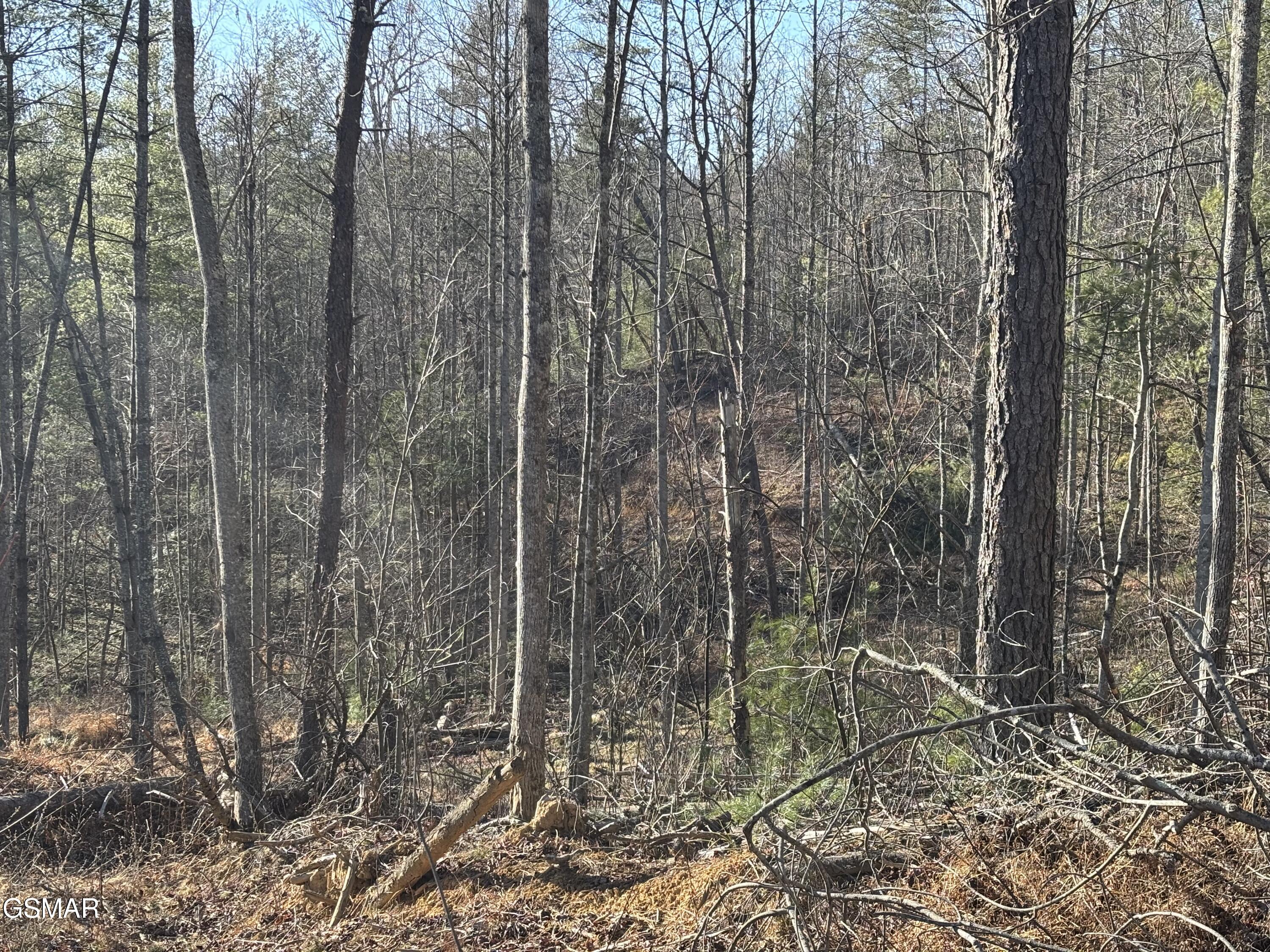 Tract 1 Bull Mountain Road Del Rio TN 37727
