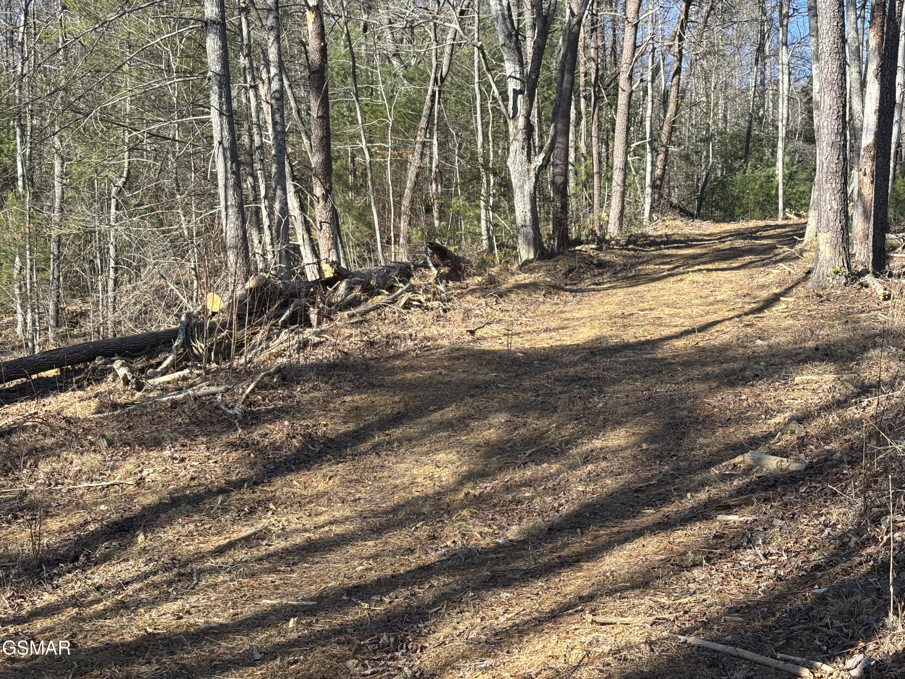Tract 1 Bull Mountain Road Del Rio TN 37727