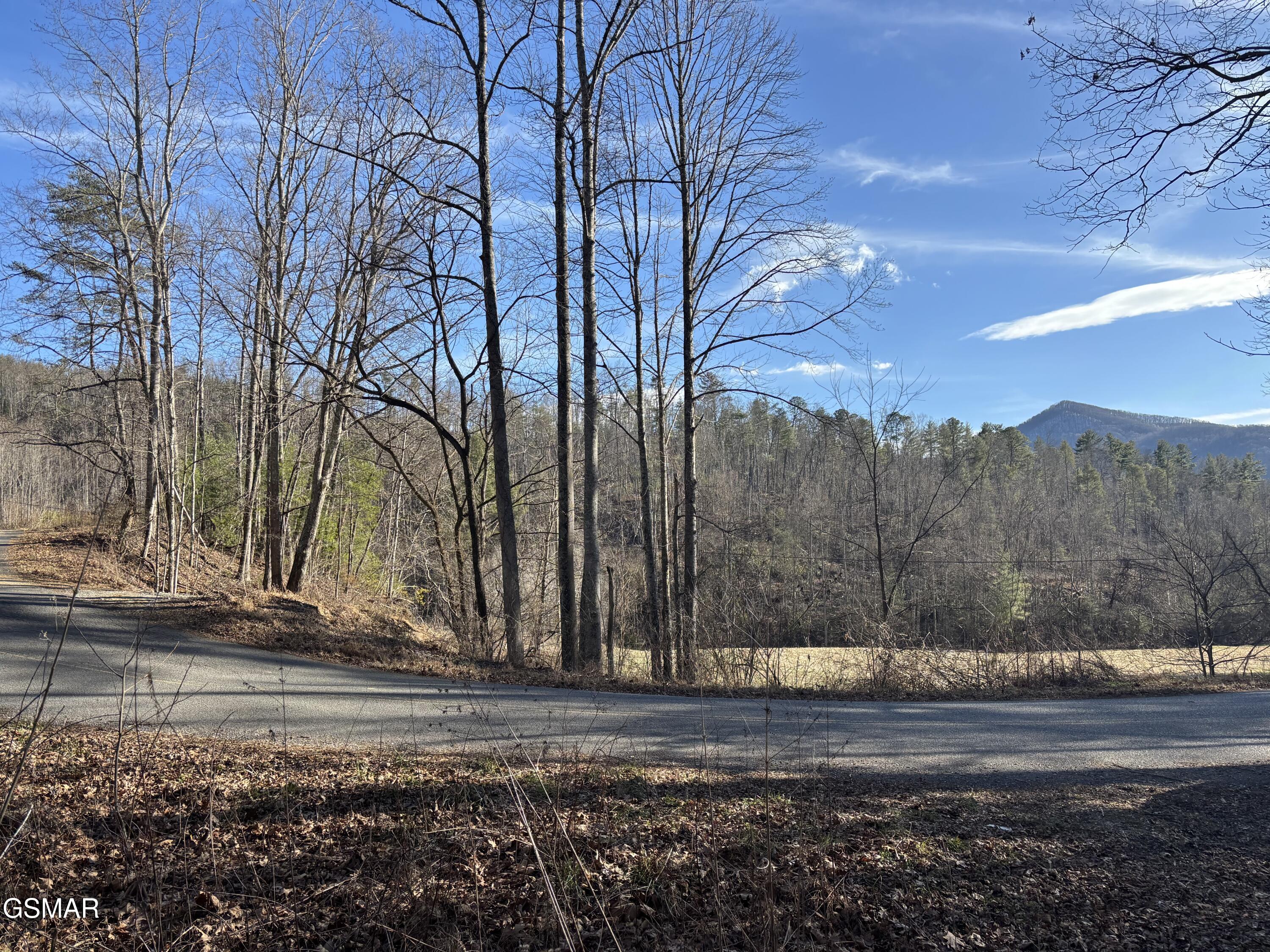 Tract 1 Bull Mountain Road Del Rio TN 37727