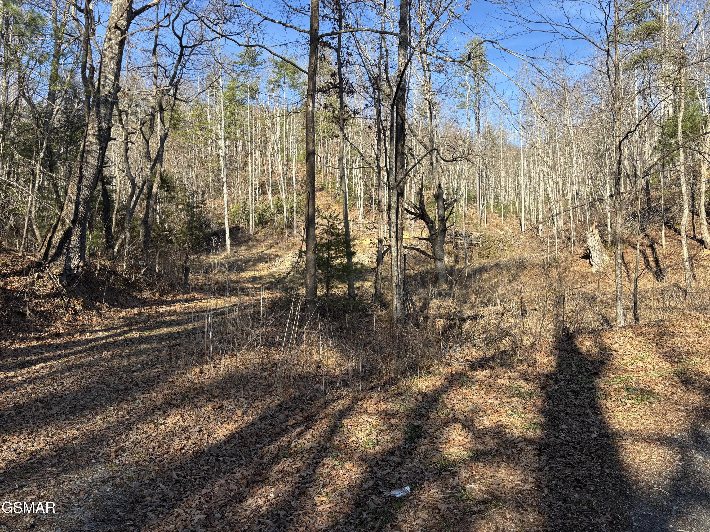 Tract 1 Bull Mountain Road Del Rio TN 37727