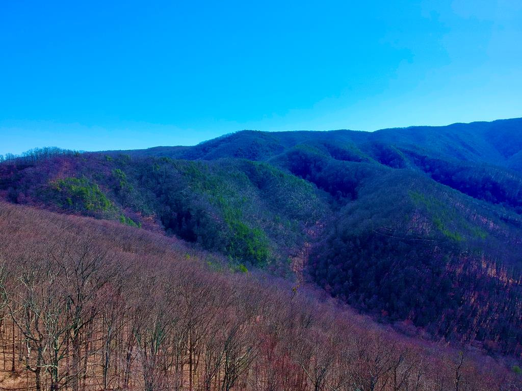 1-A Ravens Den Way Sevierville TN 37862