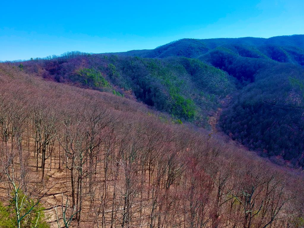 1-A Ravens Den Way Sevierville TN 37862