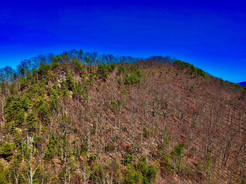 1-A Ravens Den Way Sevierville TN 37862