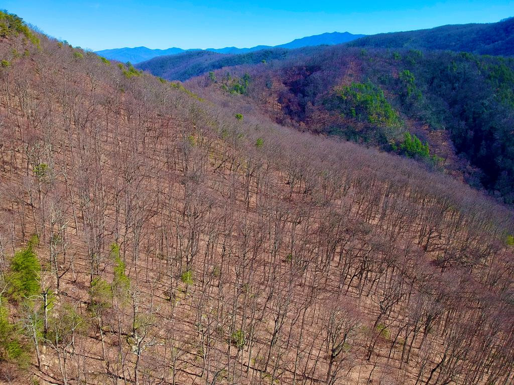 1-A Ravens Den Way Sevierville TN 37862