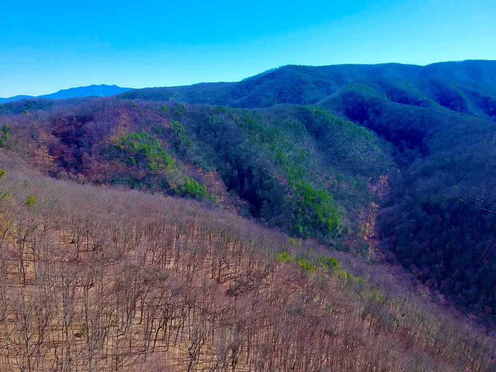1-A Ravens Den Way Sevierville TN 37862
