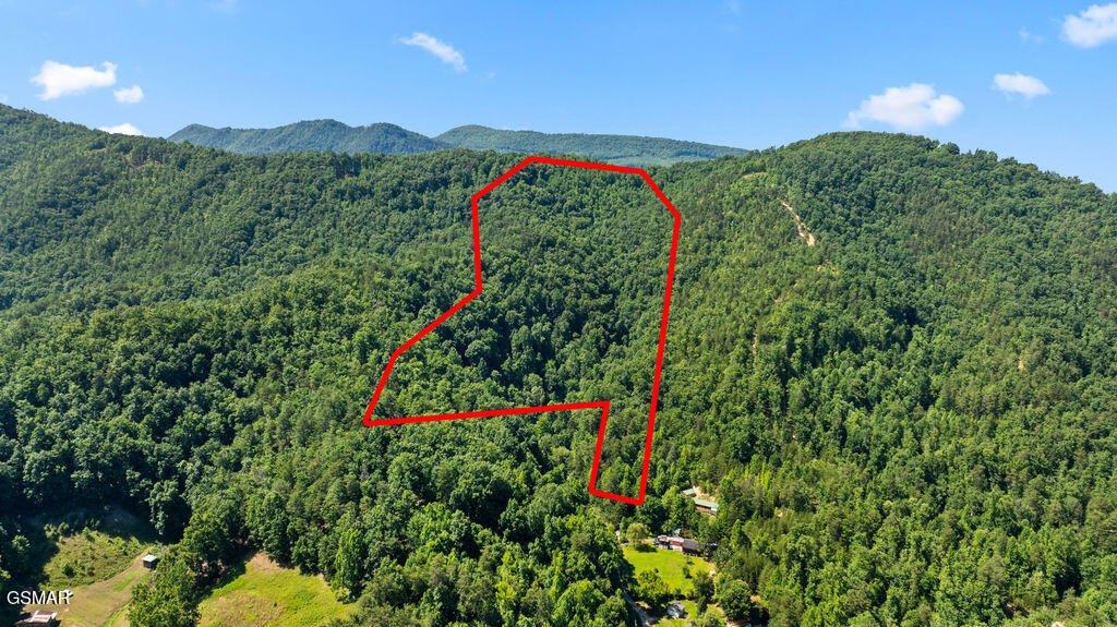 00 Boomer Way Cosby TN 37722