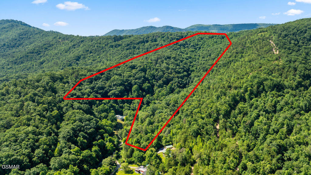 00 Boomer Way Cosby TN 37722