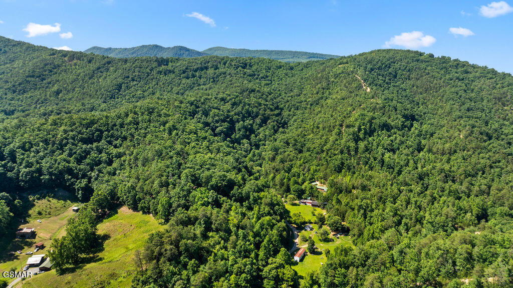 00 Boomer Way Cosby TN 37722
