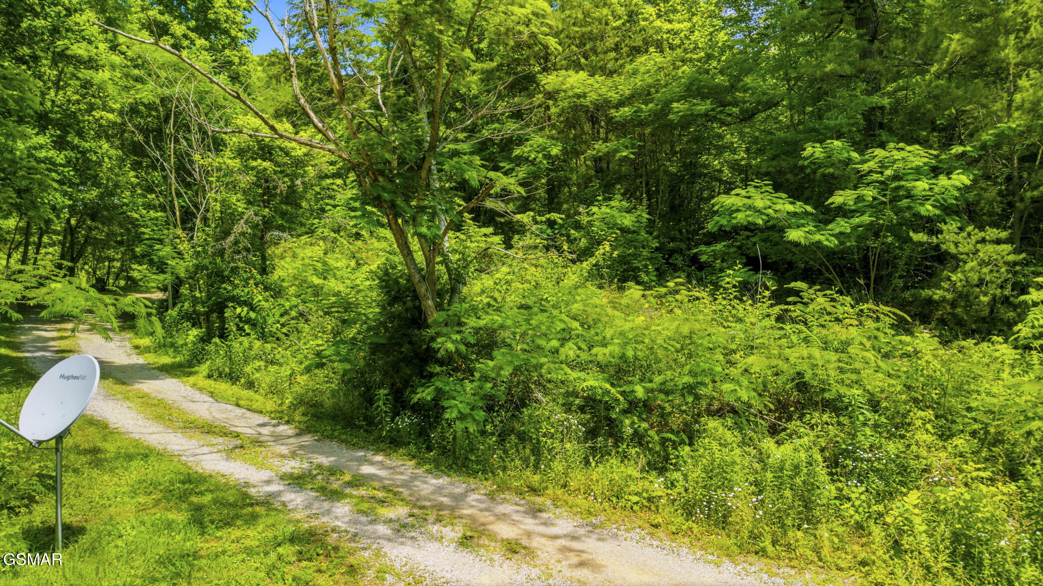 00 Boomer Way Cosby TN 37722