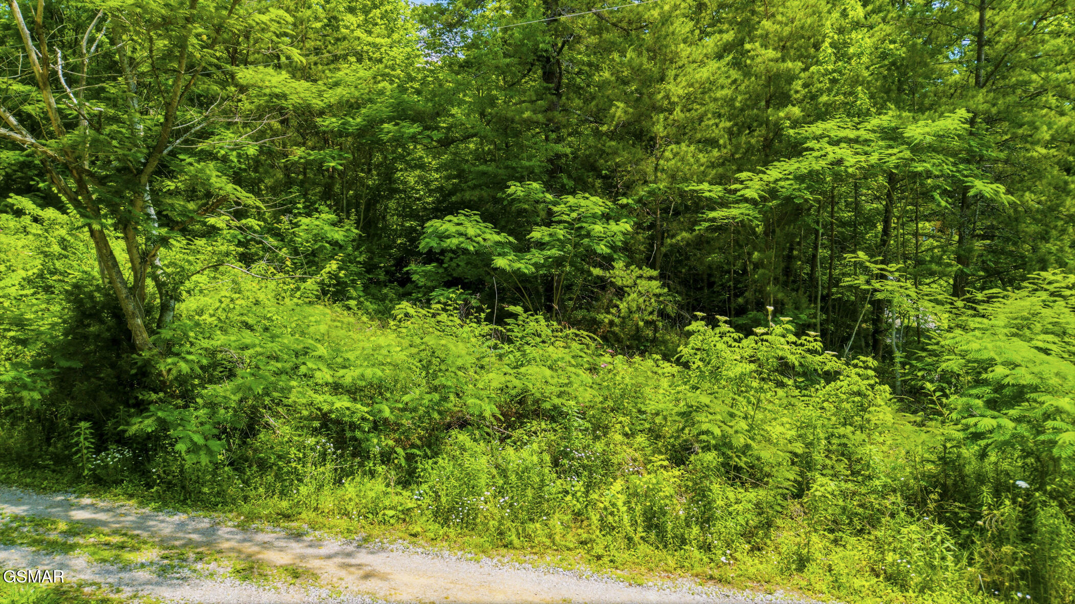 00 Boomer Way Cosby TN 37722