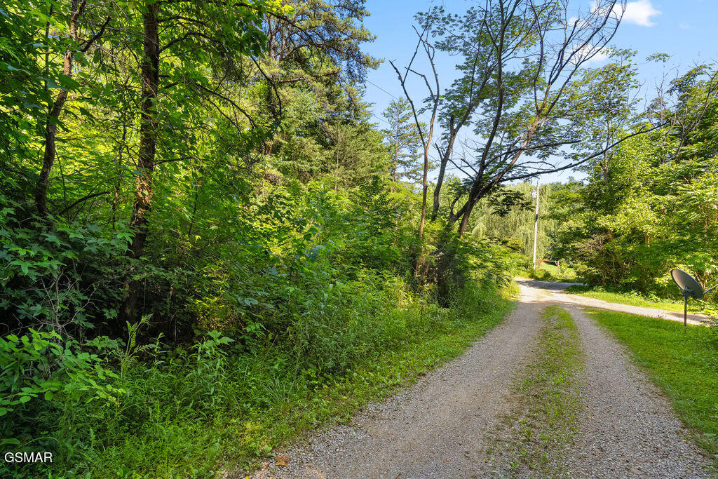 00 Boomer Way Cosby TN 37722