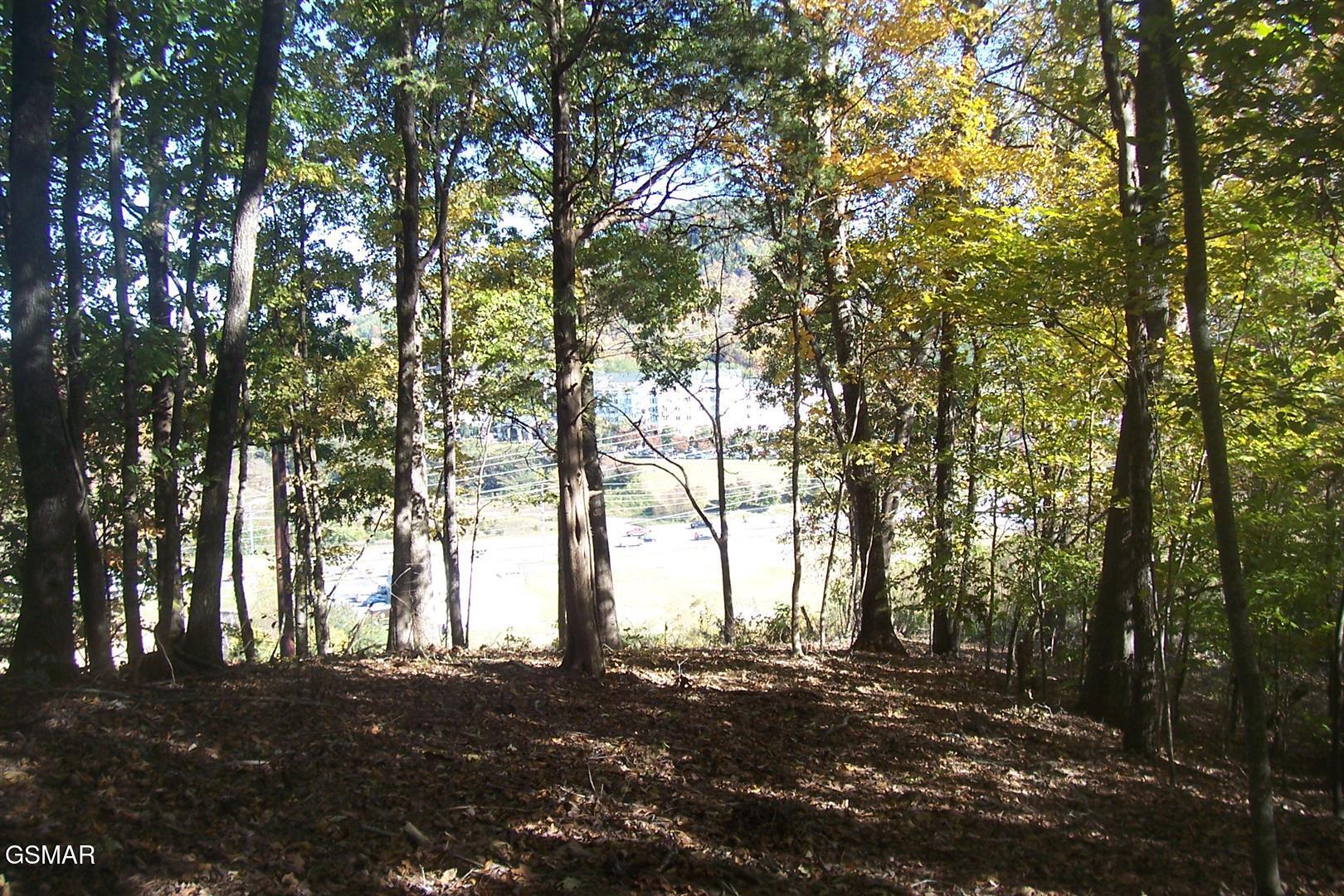 4B-R Jake Thomas Road Pigeon Forge TN 37863