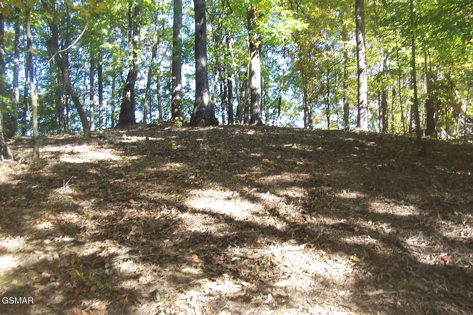 4B-R Jake Thomas Road Pigeon Forge TN 37863