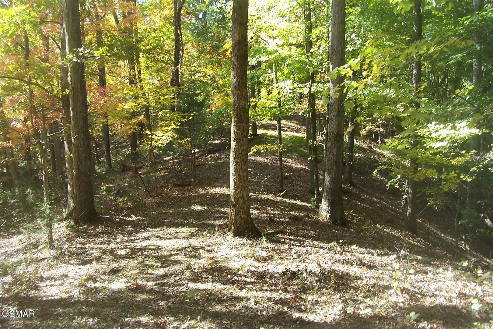 4B-R Jake Thomas Road Pigeon Forge TN 37863