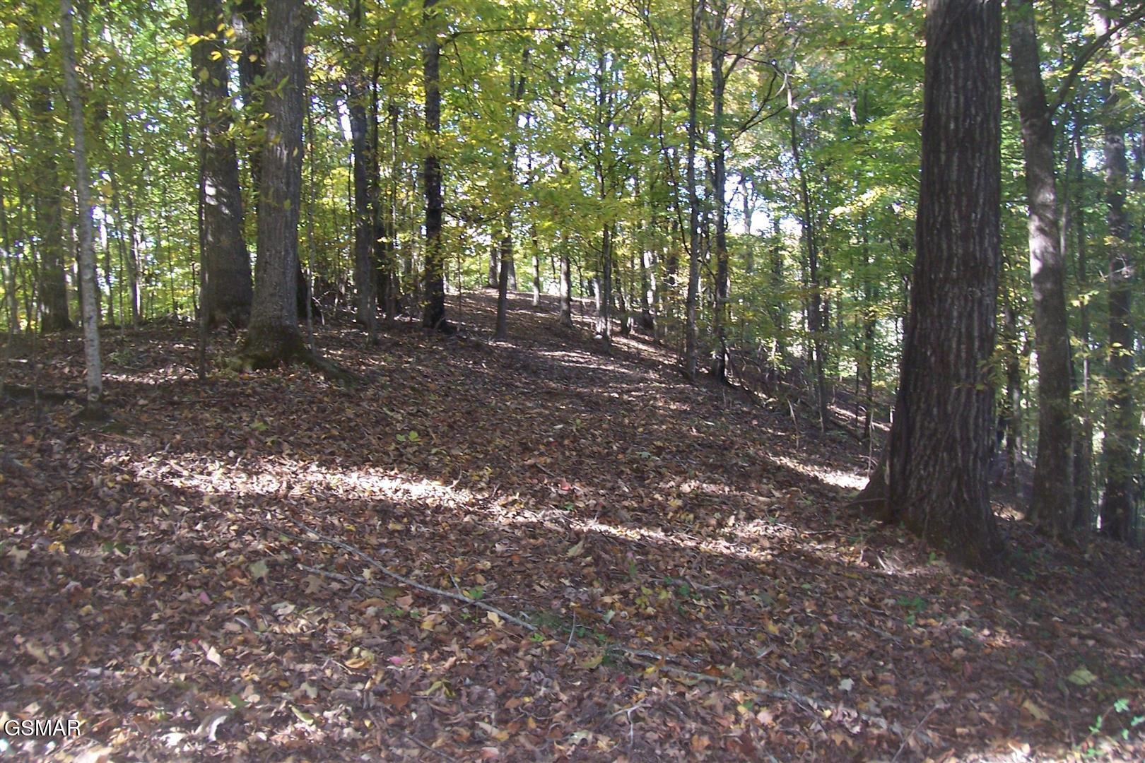 4B-R Jake Thomas Road Pigeon Forge TN 37863