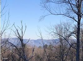 Lot 21 Wild Azalea Lane Sevierville TN 37862