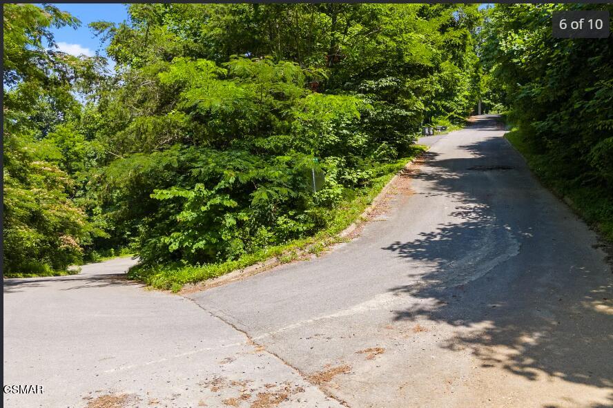 Lot 21 Wild Azalea Lane Sevierville TN 37862