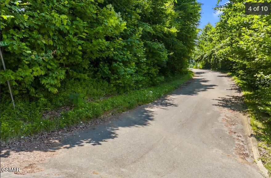Lot 21 Wild Azalea Lane Sevierville TN 37862