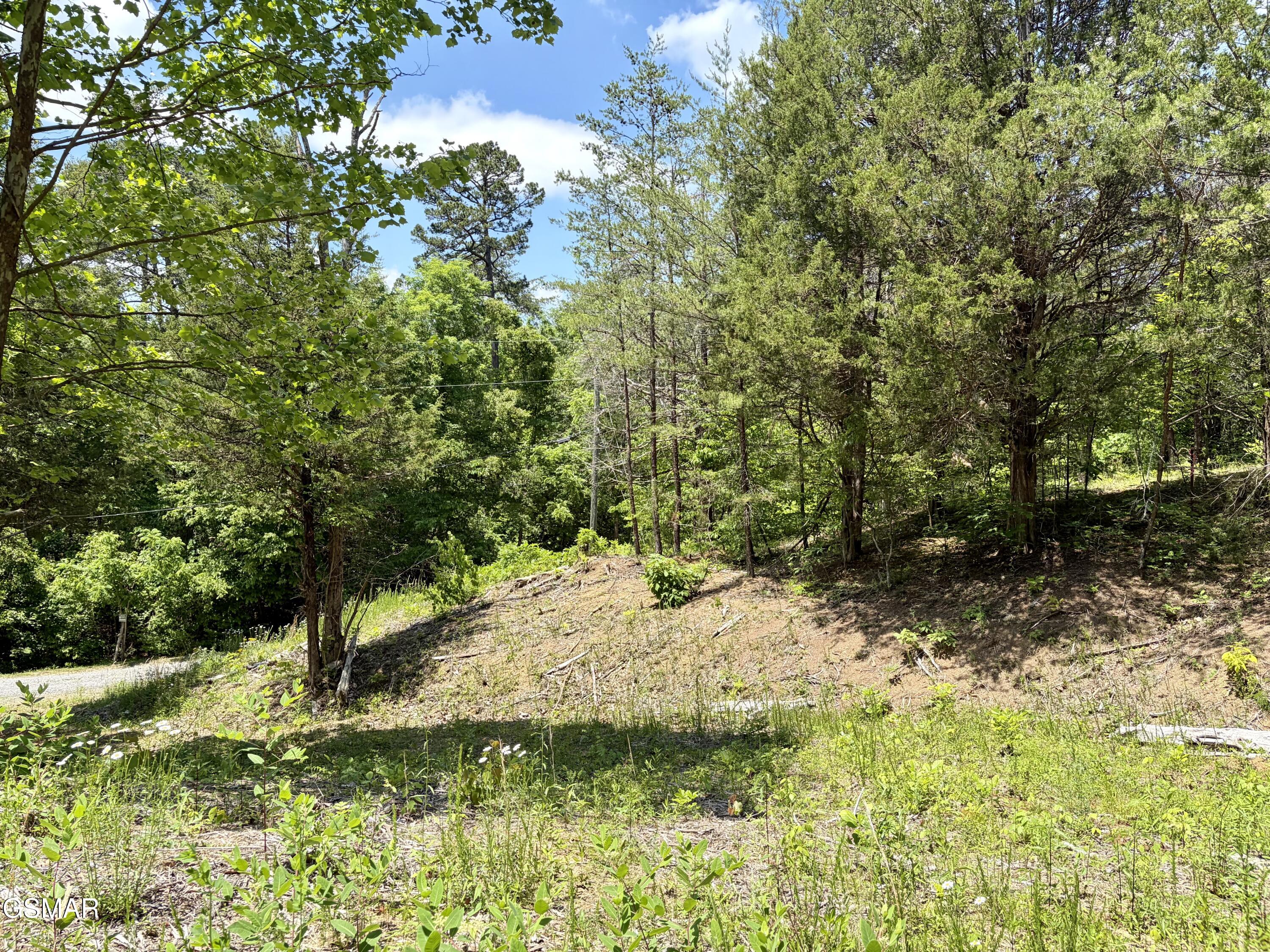 Lot 7 Burchfiel Way Sevierville TN 37876