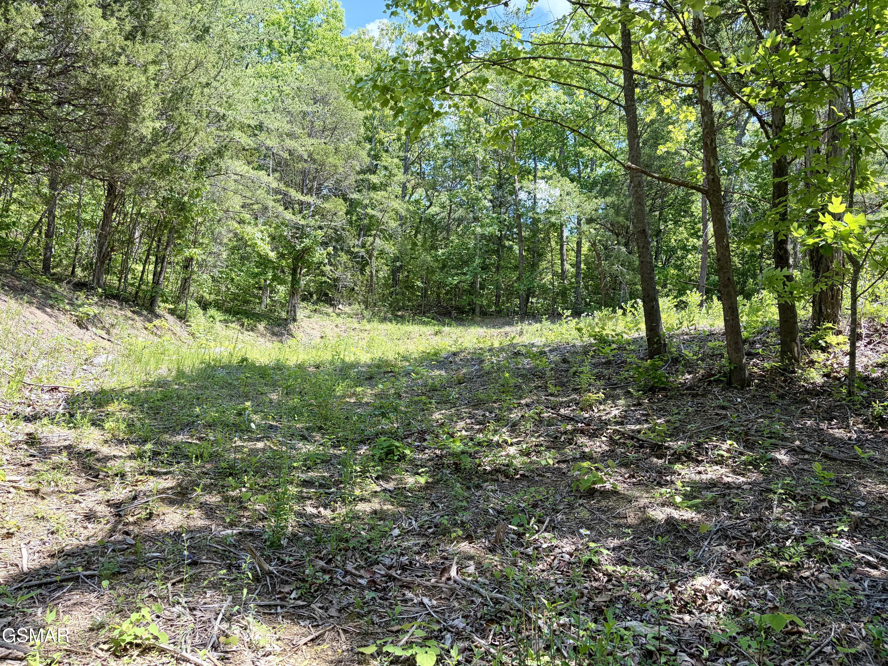 Lot 7 Burchfiel Way Sevierville TN 37876