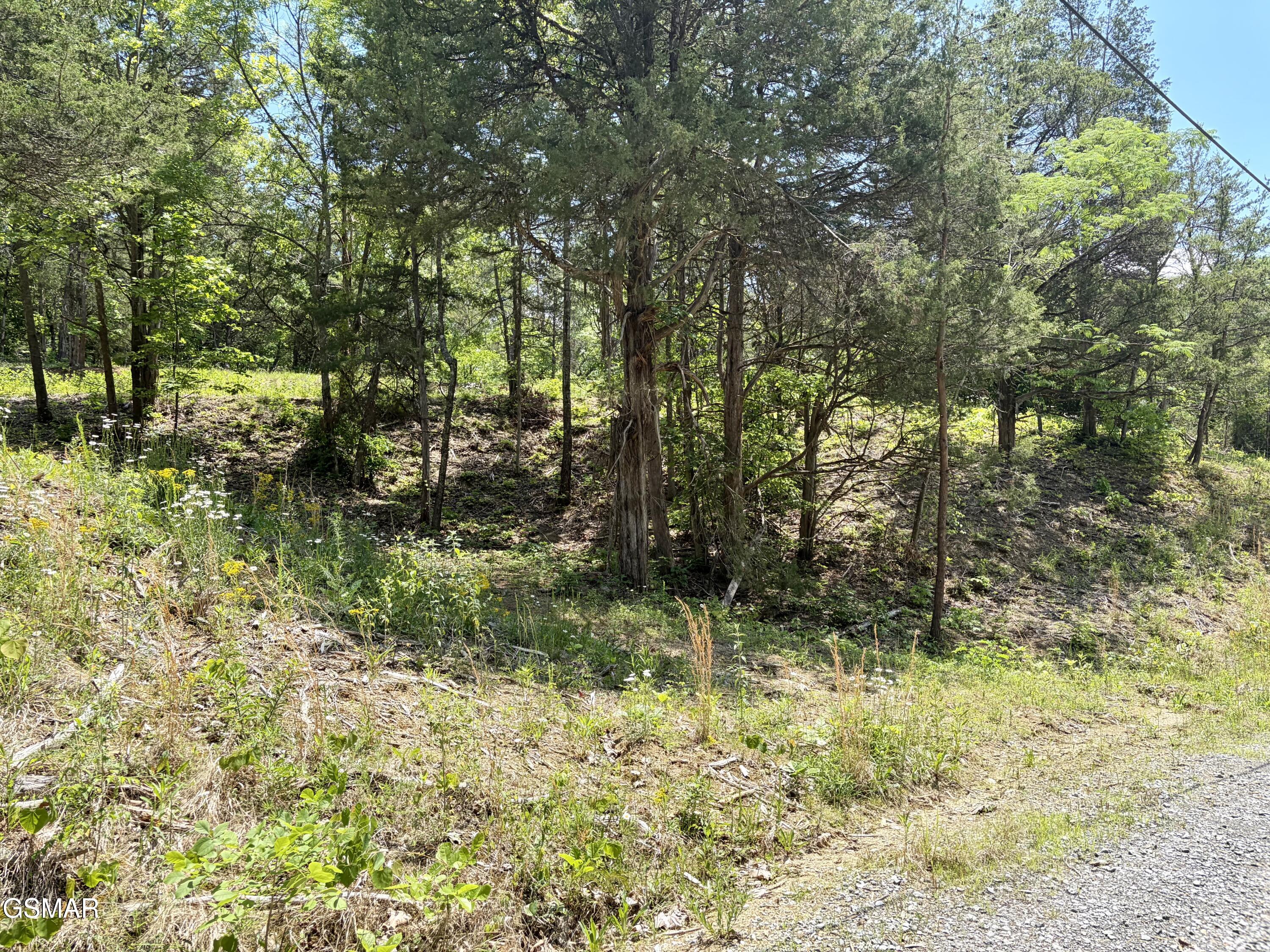 Lot 7 Burchfiel Way Sevierville TN 37876