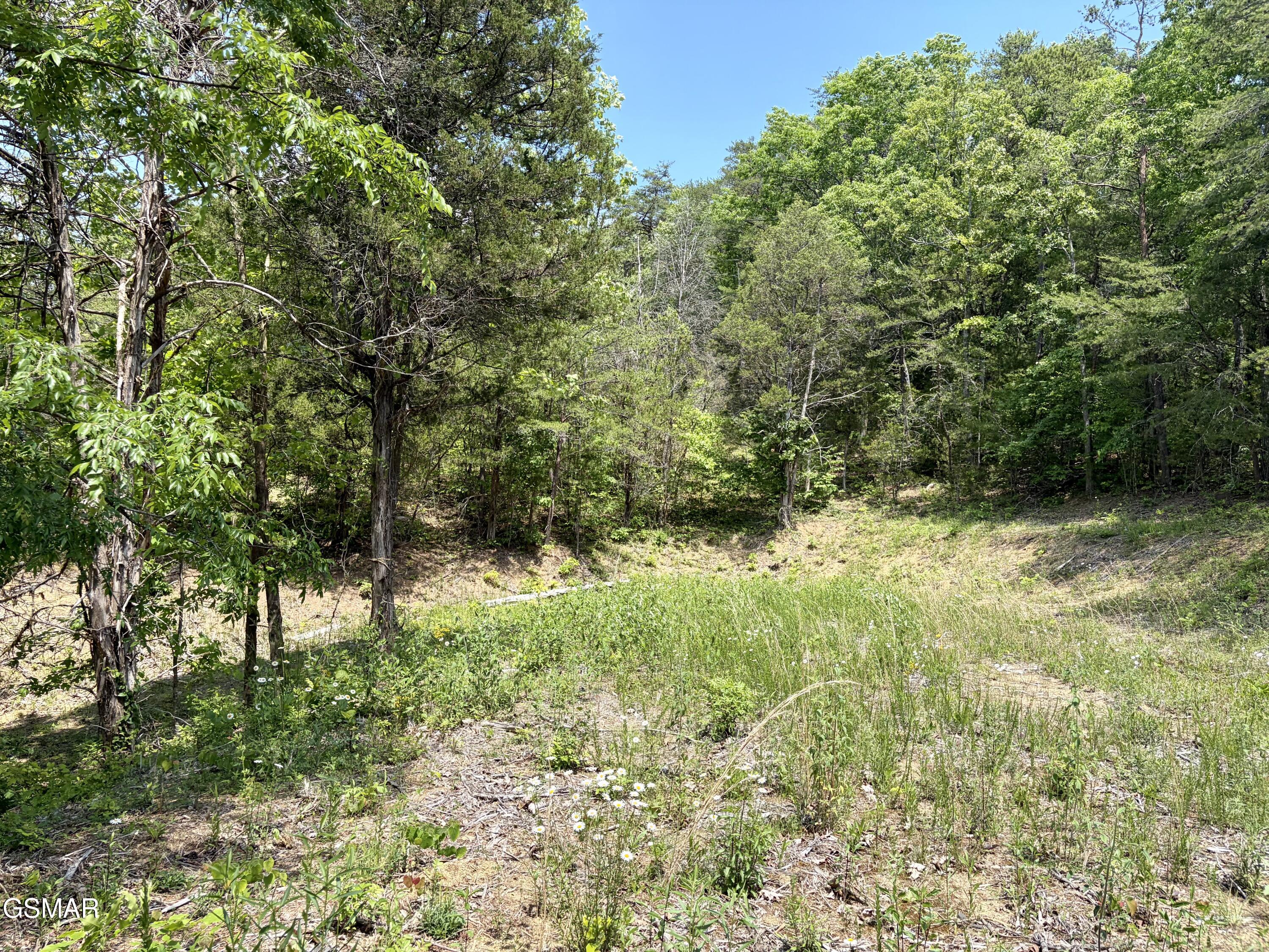 Lot 7 Burchfiel Way Sevierville TN 37876