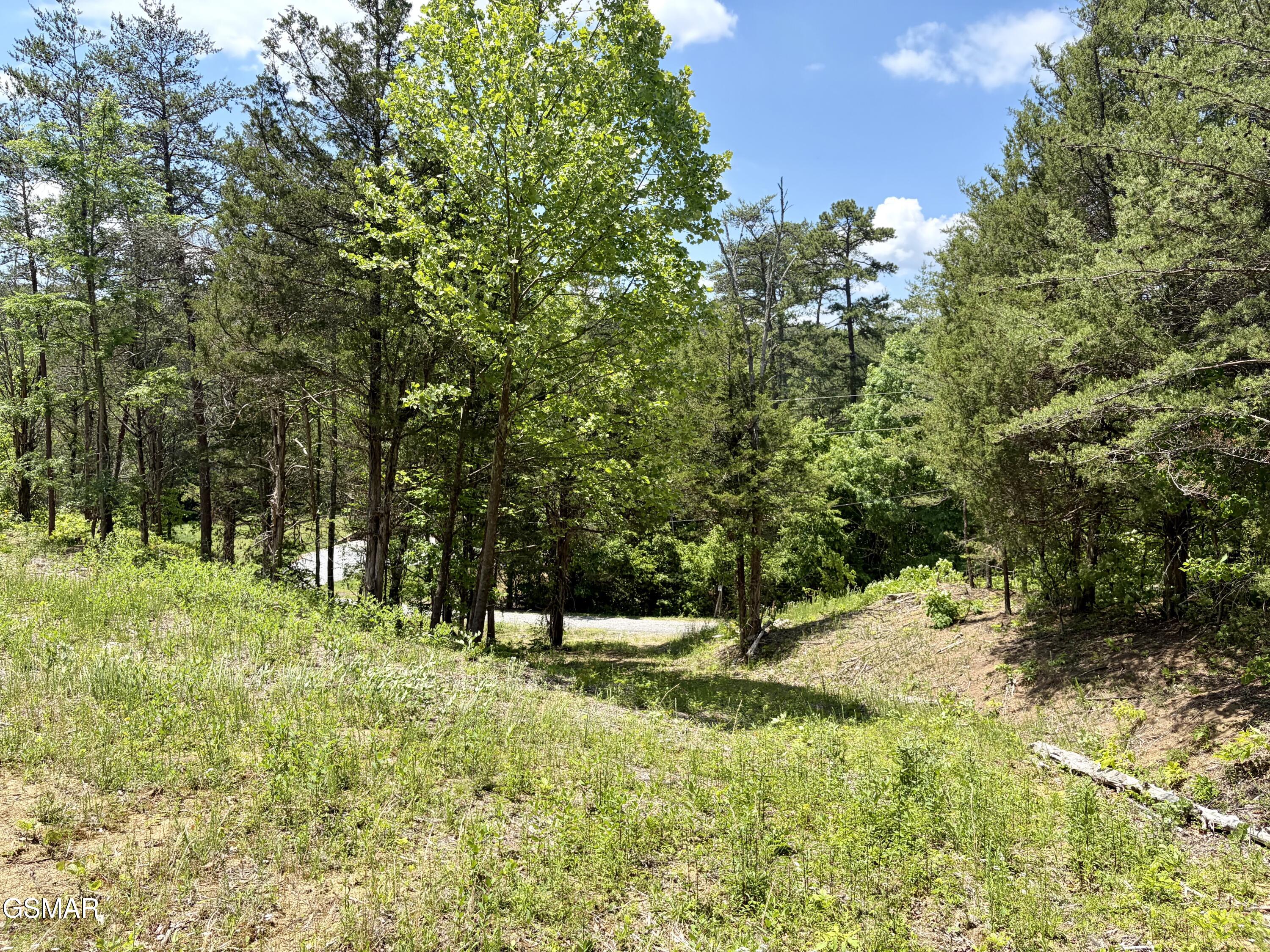 Lot 7 Burchfiel Way Sevierville TN 37876