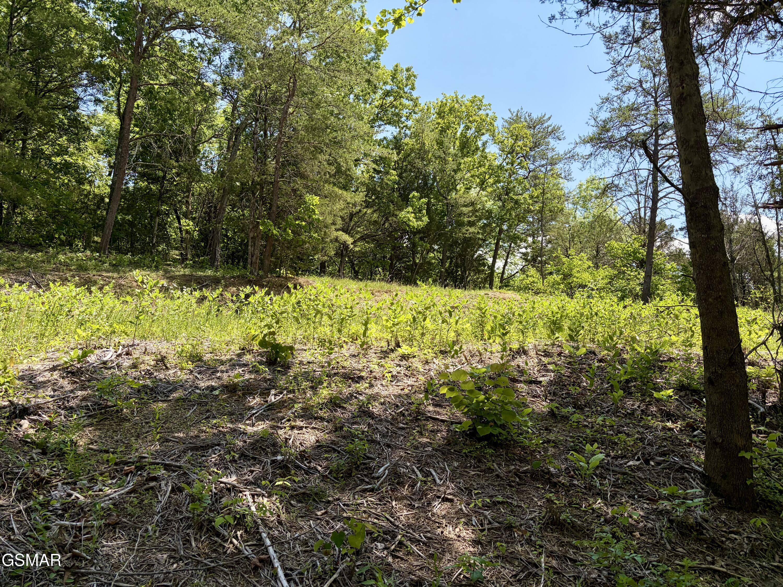 Lot 7 Burchfiel Way Sevierville TN 37876