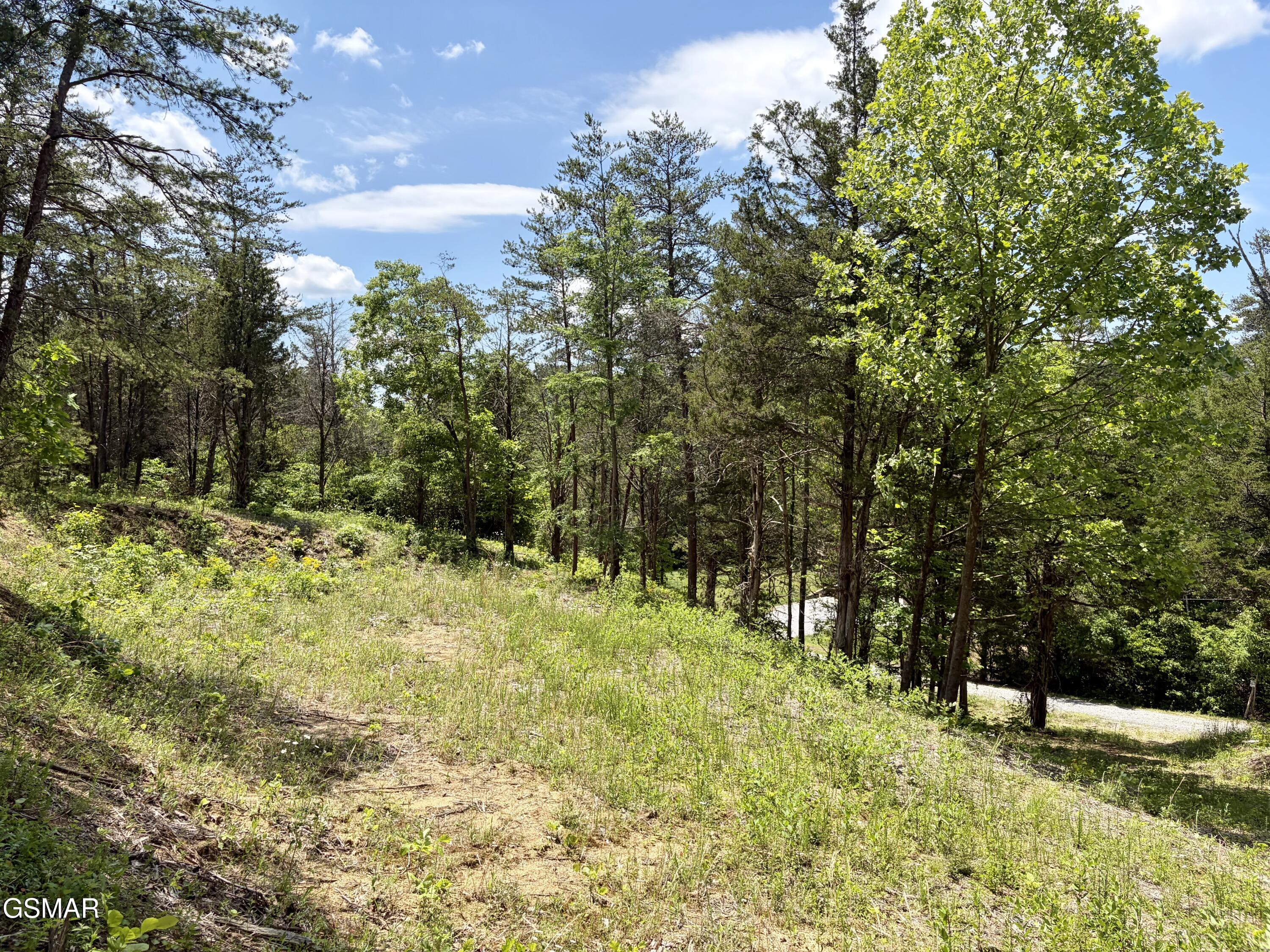 Lot 7 Burchfiel Way Sevierville TN 37876