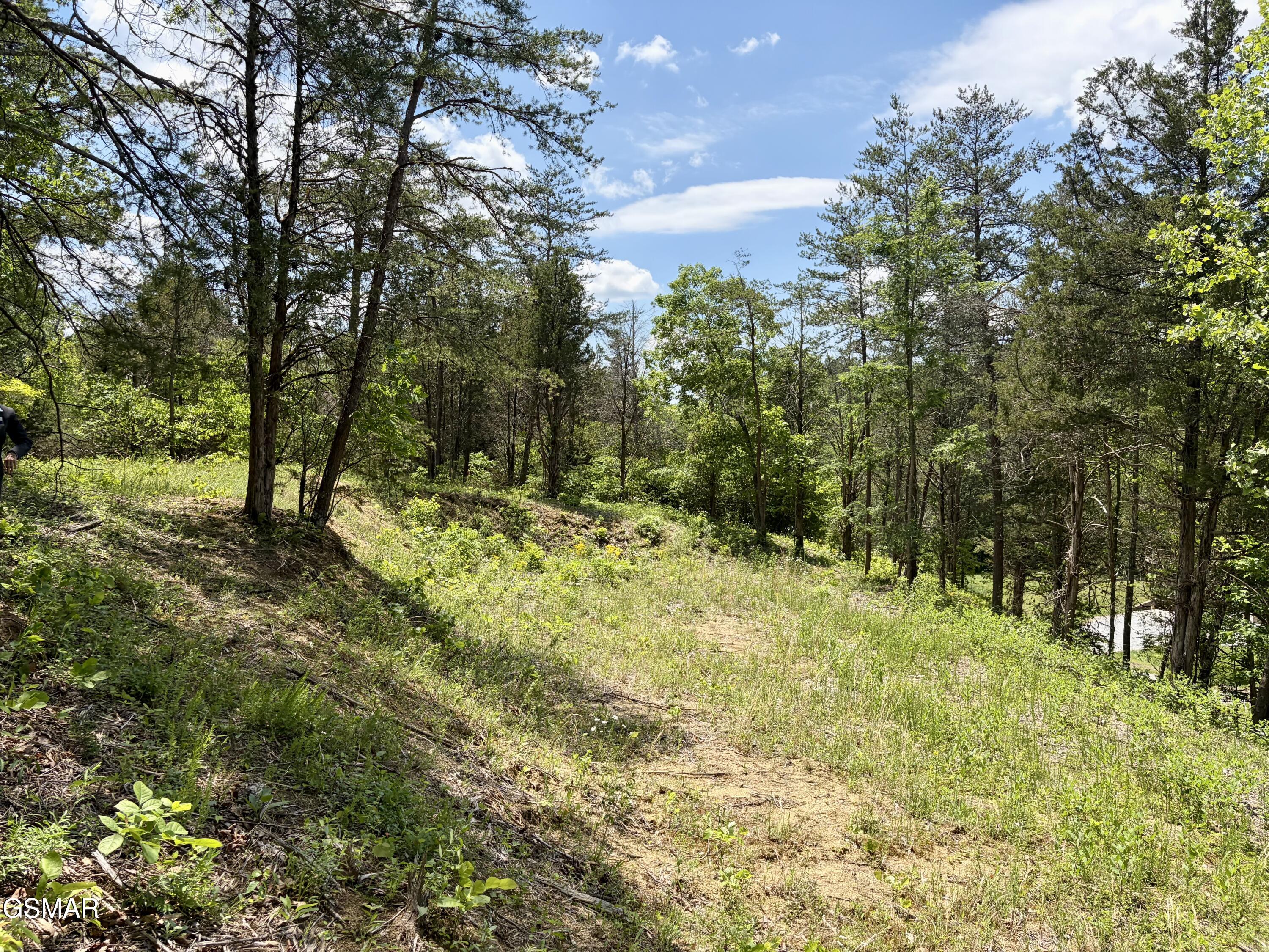 Lot 7 Burchfiel Way Sevierville TN 37876