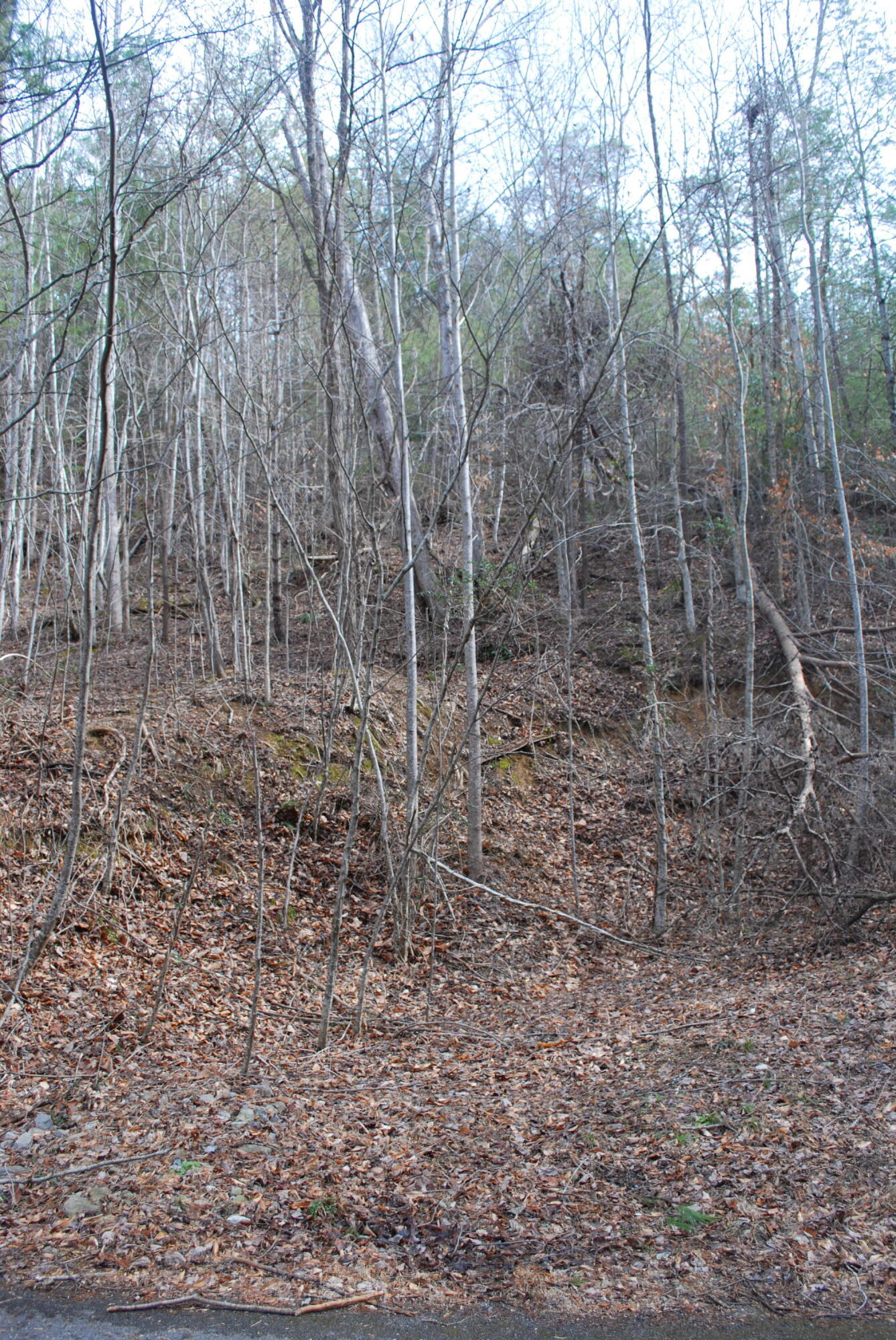 Lot 21 Marian Lake Way Sevierville TN 37862