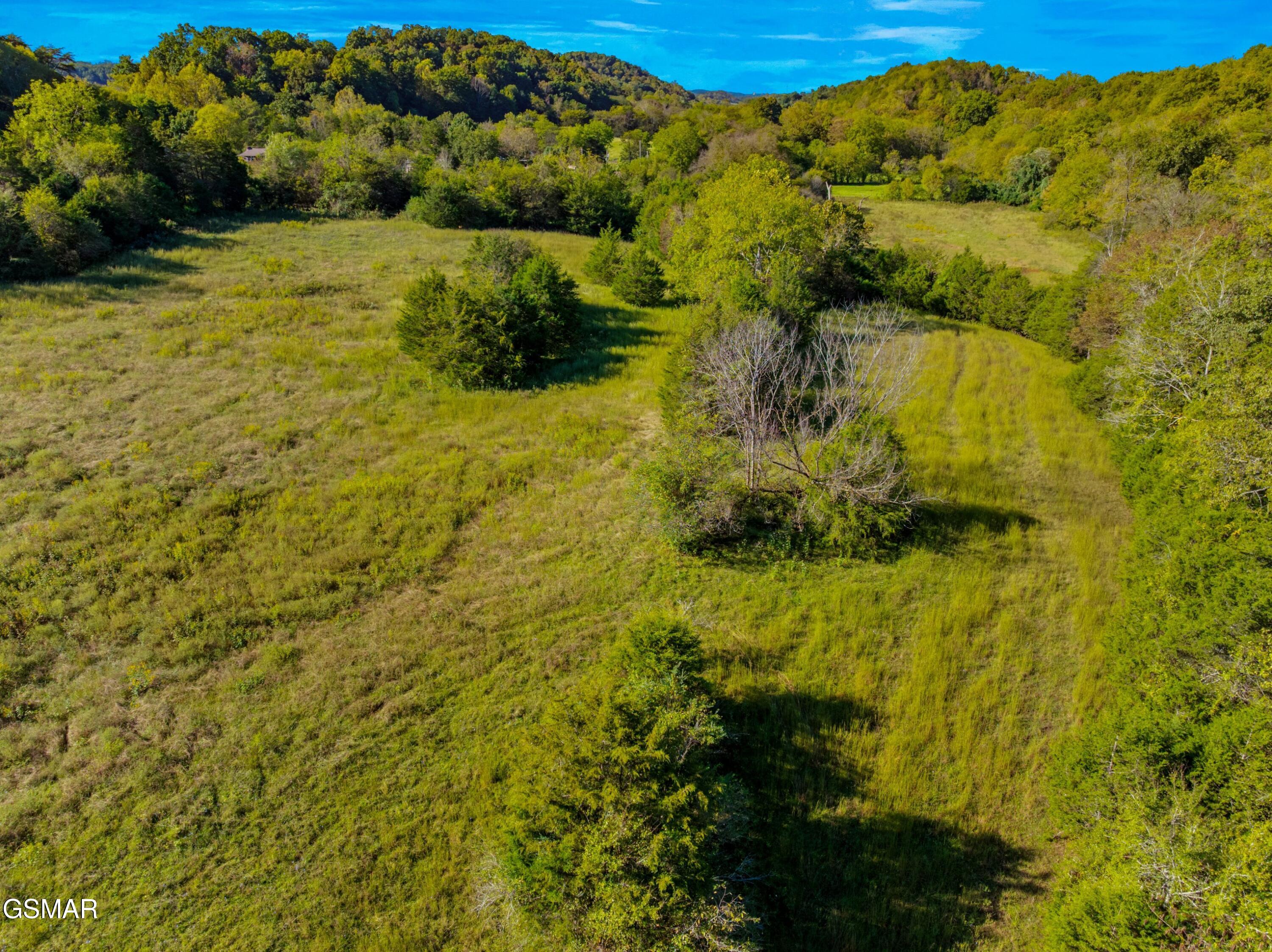 792 Rh Ellis Road Dandridge TN 37725