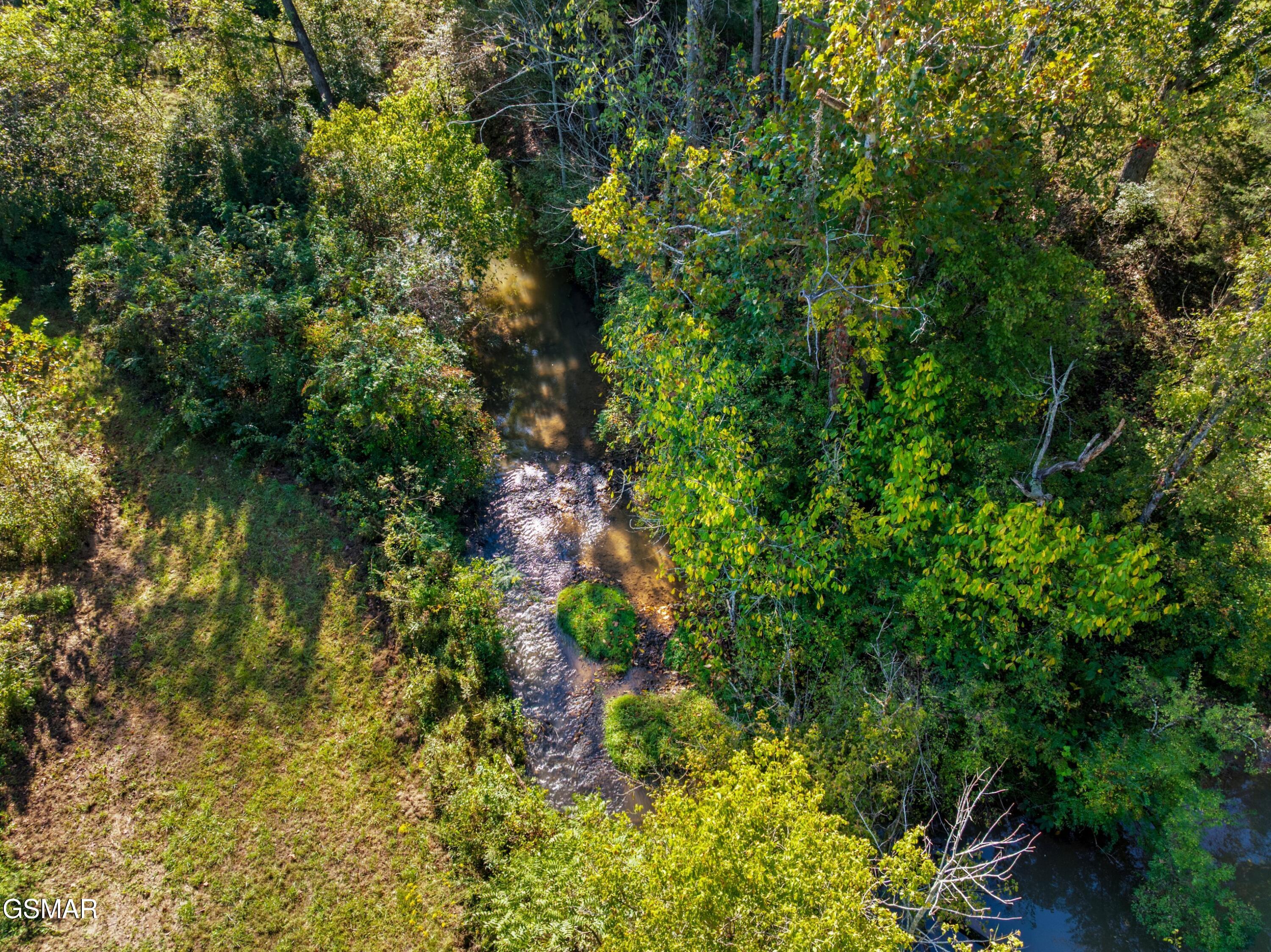 792 Rh Ellis Road Dandridge TN 37725