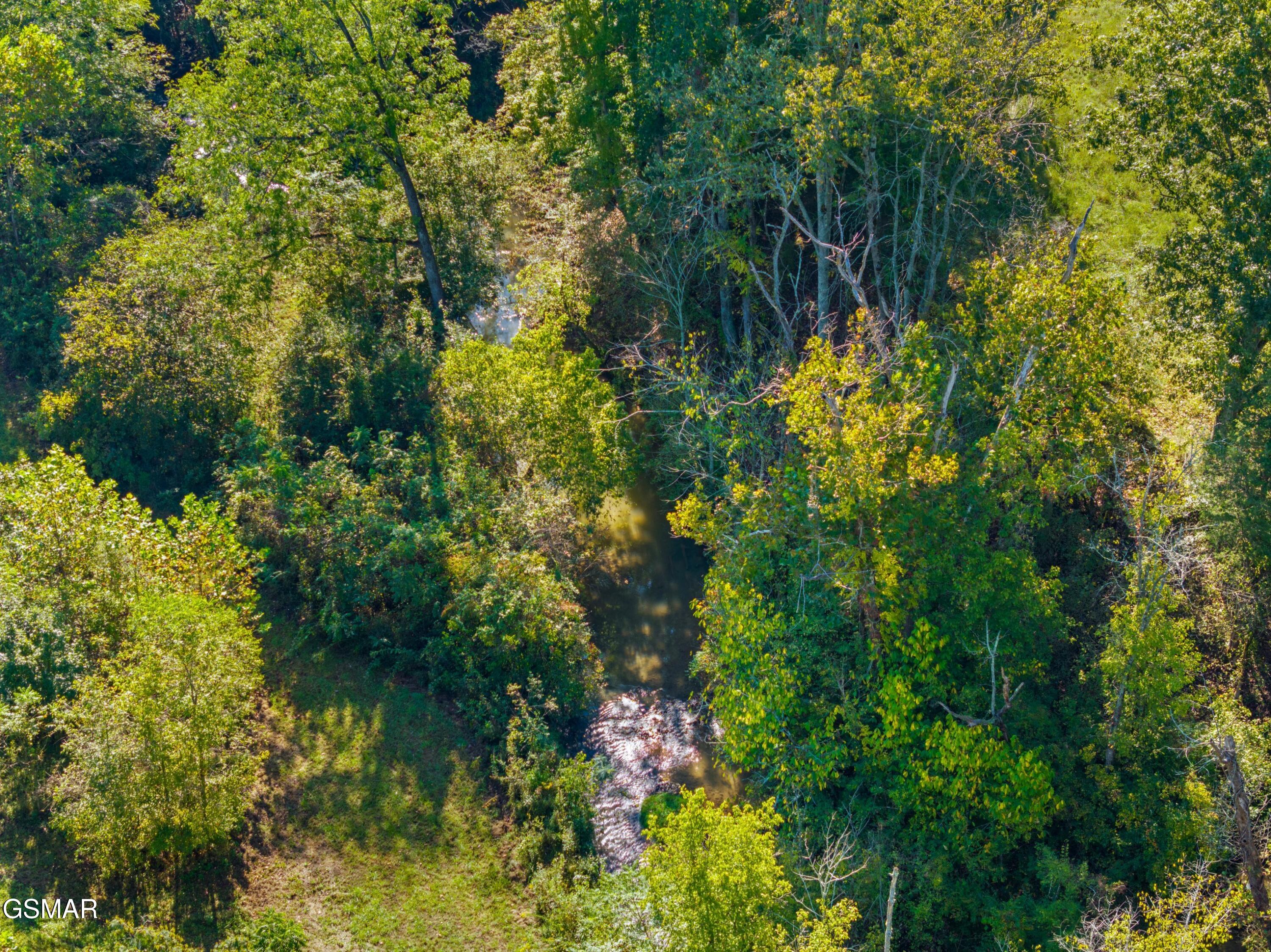792 Rh Ellis Road Dandridge TN 37725