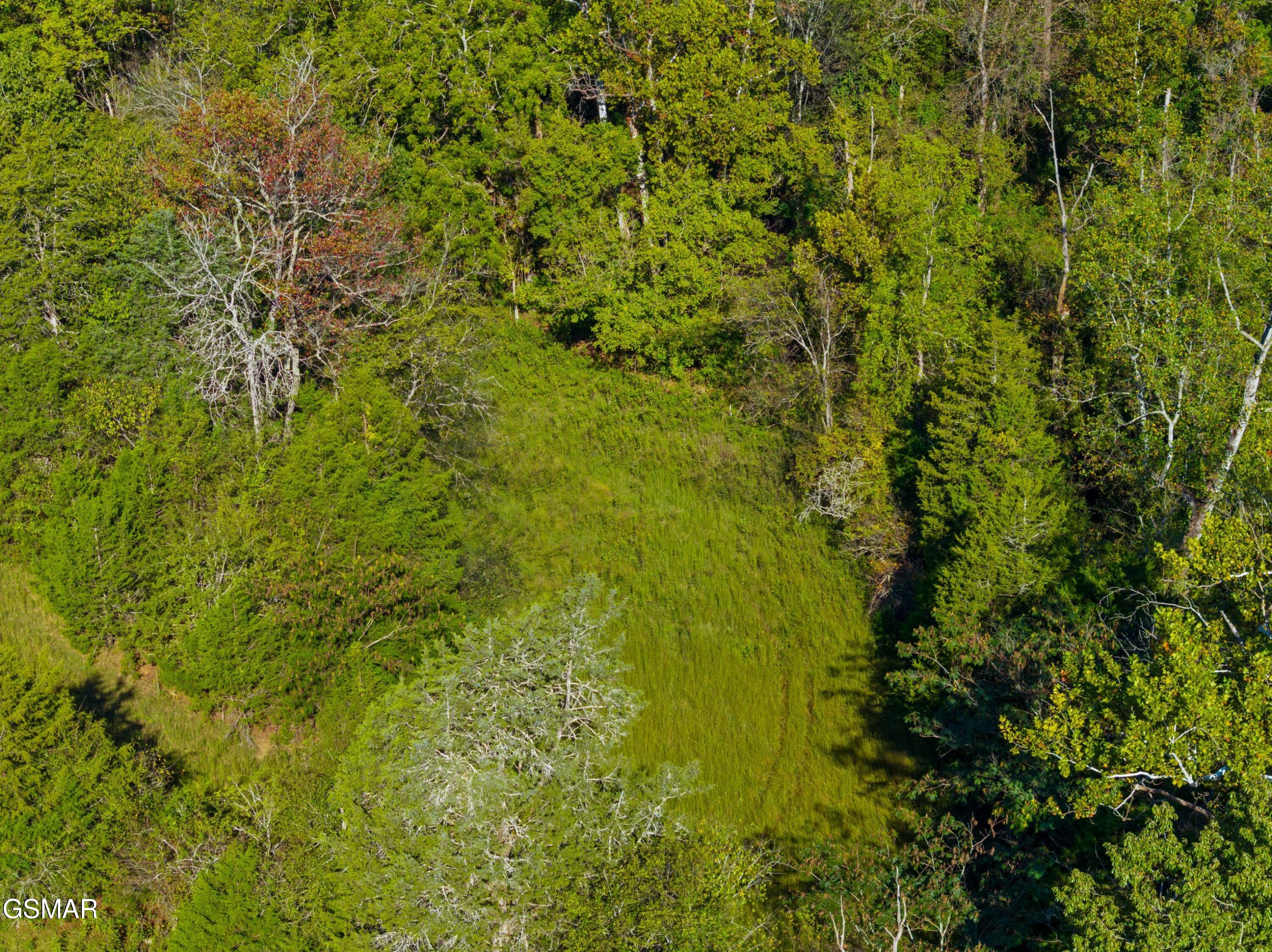 792 Rh Ellis Road Dandridge TN 37725
