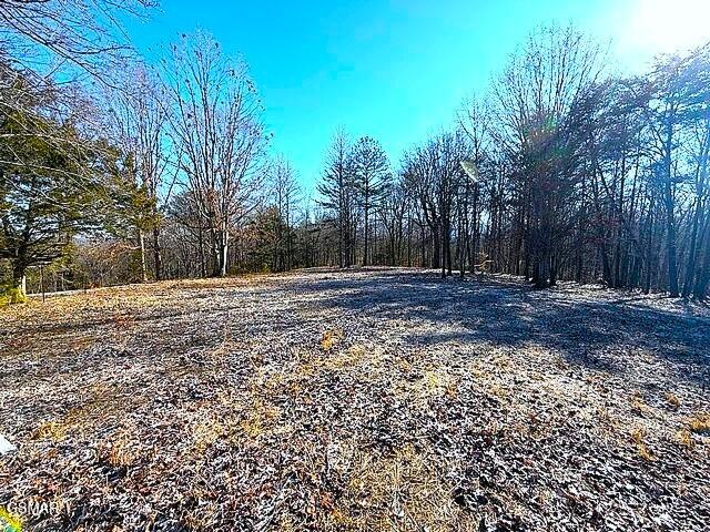 Lot 15 Under The Sun Road Cosby TN 37722