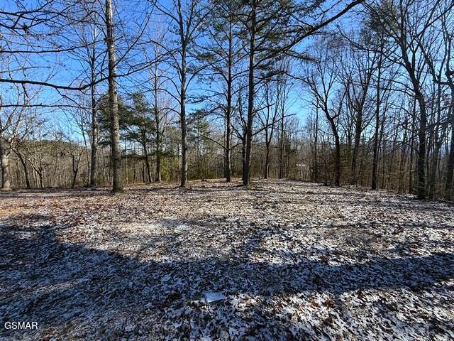 Lot 15 Under The Sun Road Cosby TN 37722