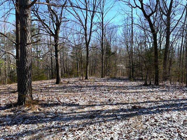 Lot 15 Under The Sun Road Cosby TN 37722